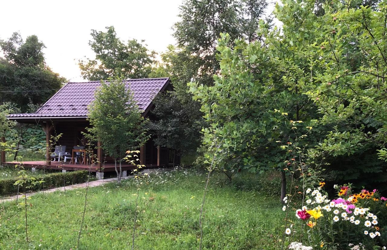 Галіція Villa Byalobereska Exterior photo