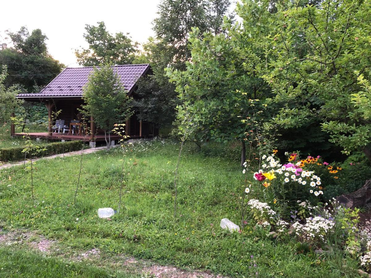 Галіція Villa Byalobereska Exterior photo